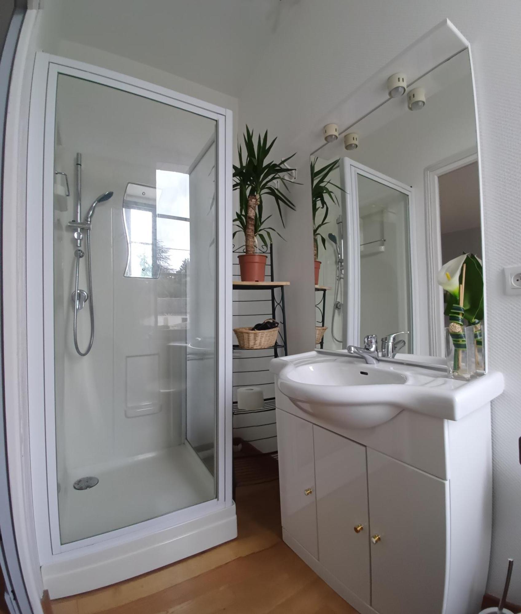 Le Jardin Des Lys - Chambre D'Hote Ou Appartement La Roche-Posay Room photo